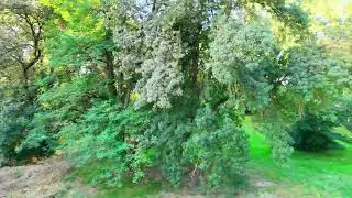 [DRONE] Quinze Sols à Blagnac - 11 JUL 2024 #drone #hautegaronne