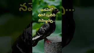 Manchi matalu #2862 | neethi vakyalu | jeevitha satyalu | telugu sukthulu | top matalu | quotations