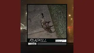 ROADK!LL
