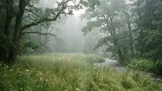 Rain Sounds ASMR For Sleeping | Fall Asleep Fast With Heavy Rain & Relaxing Thunderstorm All Night