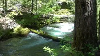 Relax with Dean Evenson's Music and the Umpqua Waterfalls