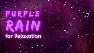 Purple Rain for Relaxation | Rain Series | Ambient Sound | What Else Is There?