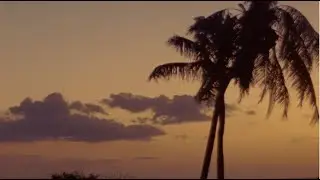 Waikaloa Sunset (Intercuts BMPCC OG & Krasnogorsk-3 16mm Footage)