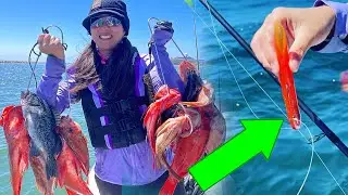 She OUT-FISHED us with this!! | ROCKFISH FISHING with HOOKUPBAITS