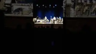 Dom Salzillo Terry's Song