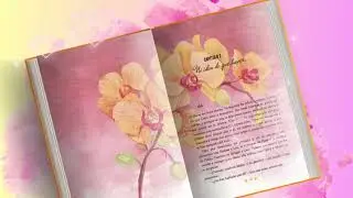 📖✨ &iquest;Tu novela ya est&aacute; escrita? &iexcl;Es hora de vestirla como se merece!