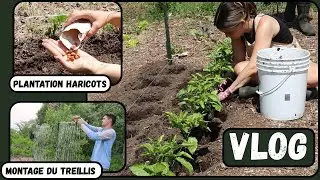 JUIN au JARDIN:  C'est le temps de TOUT PLANTER !