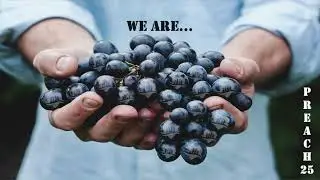 A five minute recap of 2025 at the Vineyard.