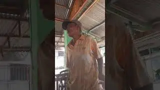 Toke Seubi