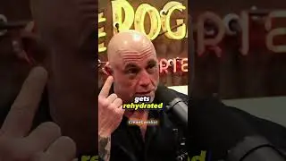 Joe Rogan: 