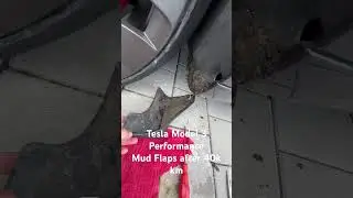 Tesla Model 3 Performance Mud Flaps after 40000km