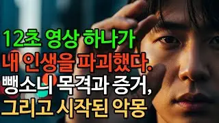 12초 영상 하나가 내 인생을 파괴했다. 뺑소니 목격과 증거, 그리고 시작된 악몽...| 이야기 | 사연 | 스토리 | 오디오북 | 인생사연 |