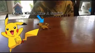 Compact Pikachu - Easy |Clay|