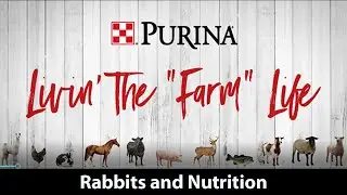 Purina Livin' the 
