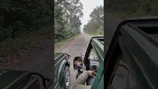 Dhela-Jhirna Zone in Jim Corbett.... An amazing, thrilling experience... Amidst the wild!!!