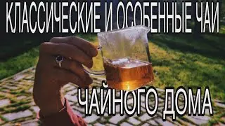 ANKIRA. Прямой эфир с чайным мастером  Тимуром. О классических и нестандартных позициях чайного дома