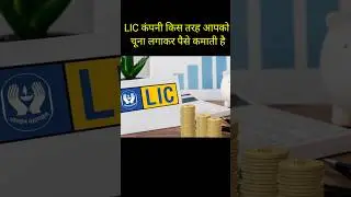 LIC कैसे काम करता है