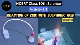 Activity 2.3 I Class 10 Science I Reaction of Zinc with Sulphuric Acid