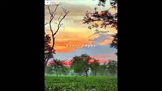 Assam Status ❣️🥀 | Awesome Assam | Village Assam | Nature Assam | New Assamese Song 🎶