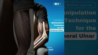 Humeral Ulnar Manipulation Technique #chiropractic #Elbow #jointmanipulation