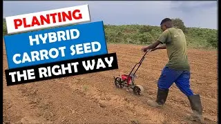 Vegetable Farming in Zambia: Sowing Hybrid Carrot Seed using a Chapin Seed Planter