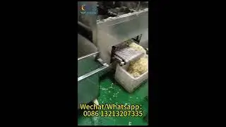 Automatic all-in-one machine for peeling and core removal of apple, avocado, kiwi and mango