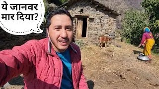 पहाड़ों में हमारा एक दिन || Pahadi Lifestyle Vlog || Cool Pahadi