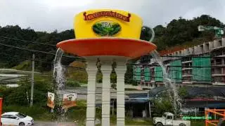 Malaysia in Nov 2016, PART 2 - Cameron Highlands, Kuala Terengganu