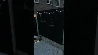 Fairy Lights Garden Makeover #garden #gardentransformation #spring