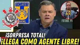 LUXURY REINFORCEMENT! TIGRES CONFIRMS TRANSFER DURING FIFA BIRTHDAY LATEST NEWS FROM TIGRES UANL ...