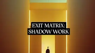 EXIT THE MATRIX: SHADOW WORK.
