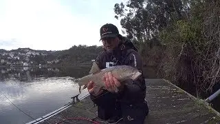 Pesca no rio Douro - Fishing in Douro river