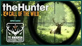 🌄 Caza y Naturaleza en Te Awaroa | Aventuras en The Hunter: Call of the Wild