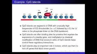 CpG Islands   Lec - Intro to Bioinformatics (UCLA)