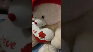 My Bhabi's Room #Roomdecor #Ideas #Lights #Teddybear #Love
