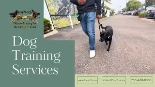 MAN-K9 DOG TRAINING: Dog Training Services