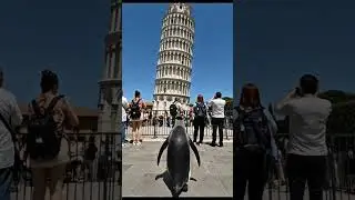 My Penguin Took a Gap Year in Europe 😂✈️ #archivebyaykar #penguin #travel #shorts #travelgram #fyp