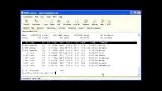 Live Linux (Centos) WebServer Commands tips and tricks