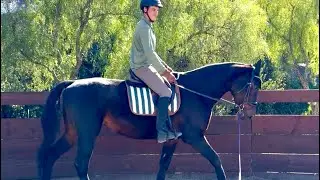 My third ride on my horse Liberty!