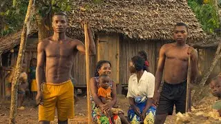A New Future for Farmers in Madagascar | BSF Farming Story