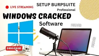 How to Set Up Burp Suite Professional on Windows
