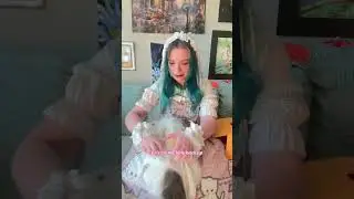 Is That a REAL CAT or a bag!? [ Chongker USA Cat Backpack Unboxing and Review ]