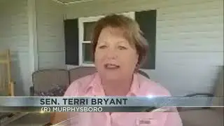 Sen. Terri Bryant launches diaper driver for Mother's Day