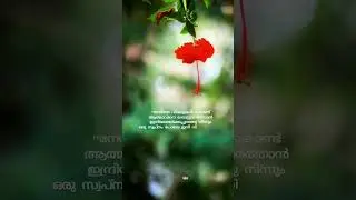 Nanditha#Nanditha#nanditha #poem #poetry #kavita #kavitha #kerala #love#malayalam #pain#death#mallu