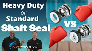 Throwback Chat: Heavy Duty vs Standard Pool Pump Motor Shaft Seal (2016)
