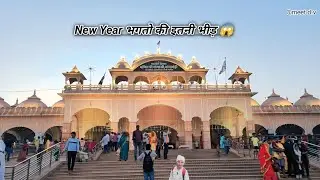New Year पर गोगामेड़ी में इतनी भीड़? 😱 | Gogamedi Dham Yatra #gogamedi #indiavlog #meet d.v