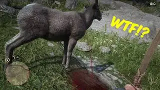 RDR2 hunting glitch! Frozen animal, infinite blood stream