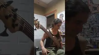 REM bass cover by Blotted Science. No Tabs , No edits, No polish. quick organic performance take ! 😁