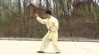 Xing Yi Five Elements seperate Demonstration of all Five Elements