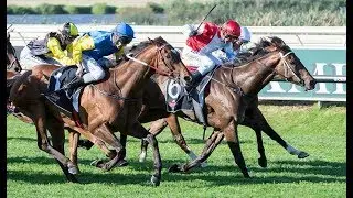 GREAT SHOT  2017  Group I  JAMES BOAG'S PREMIUM RAILWAY STAKES 1600 metres